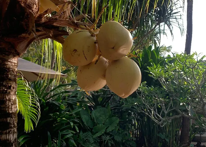 Udara Hideaway *